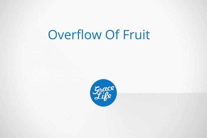 Overflow Of Fruit